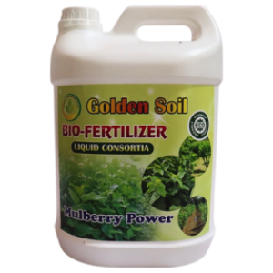 Golden Soil Mulberry Power Bio-Fertilizer