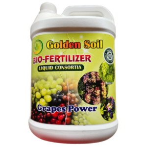 Golden Soil Grapes Power Bio-Fertilizer
